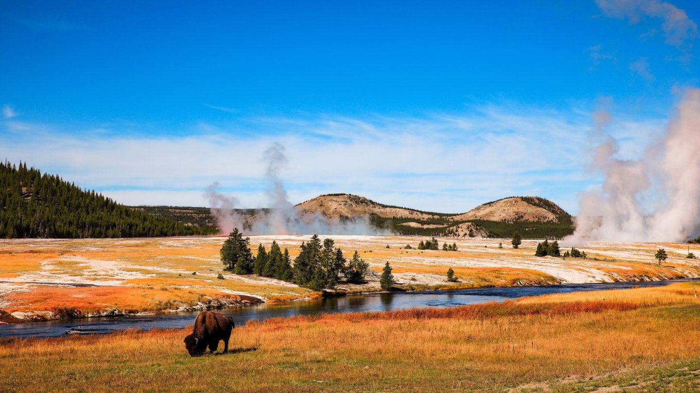 لقد أيقظت الزلازل بشكل غير متوقع الحياة المخفية تحت يلوستون لقد أيقظت الزلازل بشكل غير متوقع الحياة المخفية تحت يلوستون
