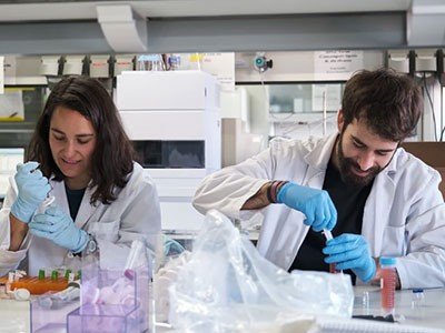 دروس من طريق طويل إلى ورقة المؤلف الأول 3 d41586 025 03348 2 51634636