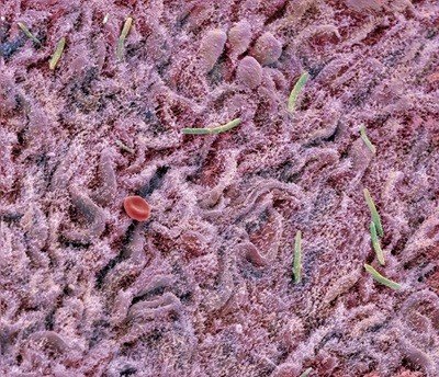 d41586 025 03350 8 50931614