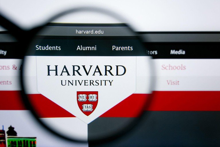 d41586 025 03484 9 51740914