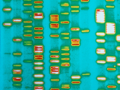 d41586 025 03573 9 26758864