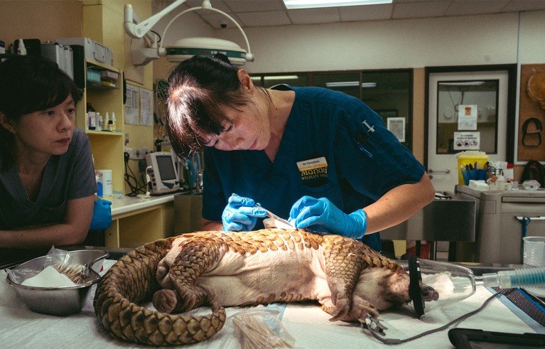 علاج تحرير الجينات المصمم خصيصًا للأطفال للدخول في التجارب السريرية 2 d41586 025 03619 y 51551784