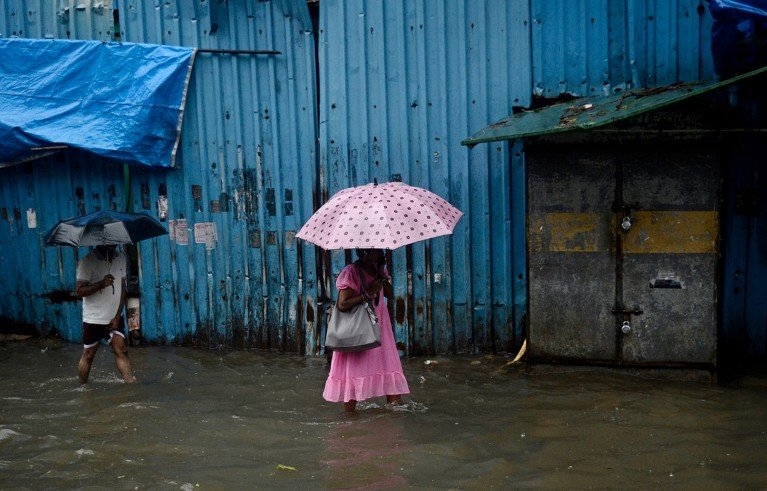 d41586 025 03669 2 51696806