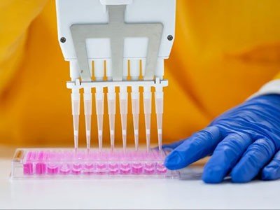 d41586 025 03700 6 51596376