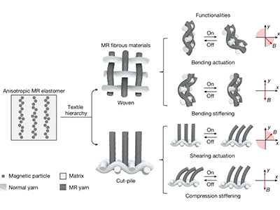 تمنح الألياف المغناطيسية هذا الروبوت قبضة ناعمة