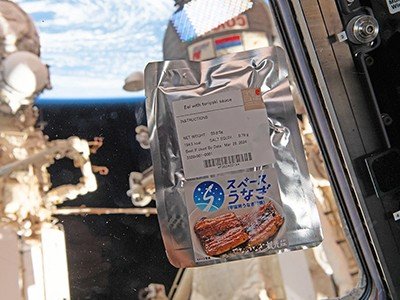 d41586 025 03720 2 51349028