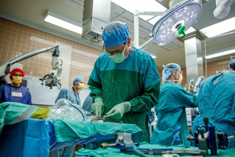 d41586 025 03849 0 51731556