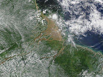 d41586 025 03851 6 51757158