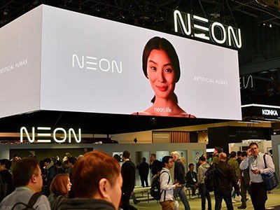 d41586 025 03859 y 50265452