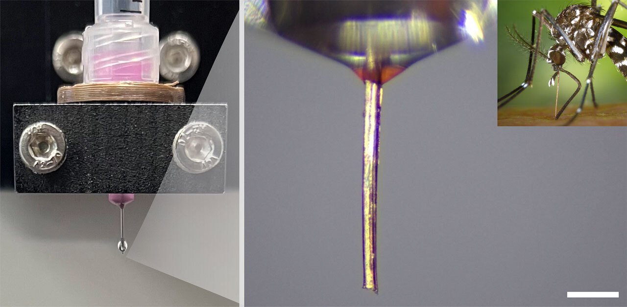 تم استخدام خرطوم البعوض كفوهة عالية الدقة للطابعة ثلاثية الأبعاد