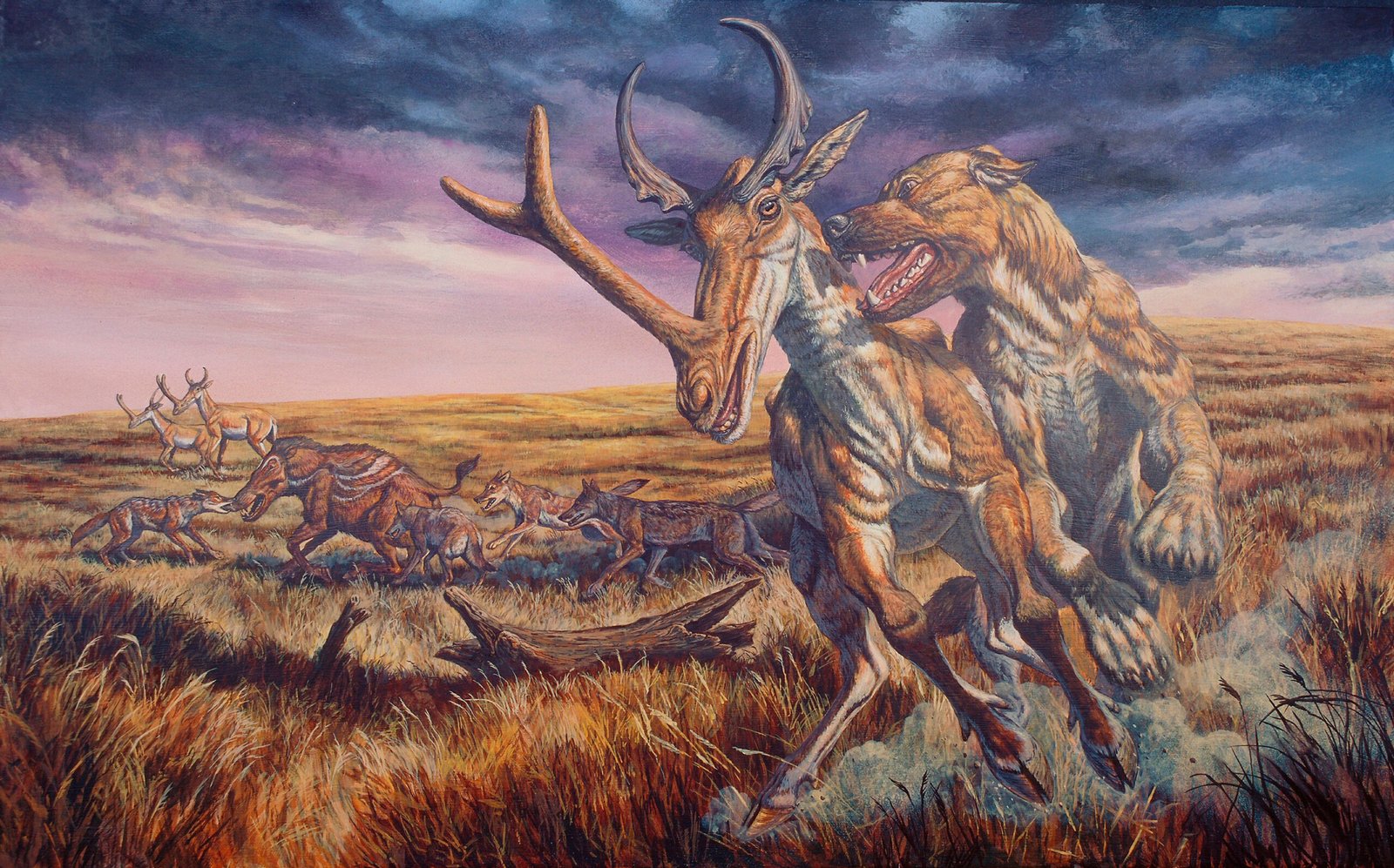 nmXh4pANdsvBKEJVuQViYg scaled