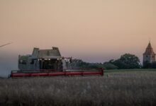 إدارة ترامب تطلق المرحلة الثانية من برنامج إغاثة للمزارعين