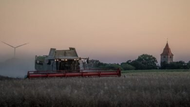 إدارة ترامب تطلق المرحلة الثانية من برنامج إغاثة للمزارعين إدارة ترامب تطلق المرحلة الثانية من برنامج إغاثة للمزارعين