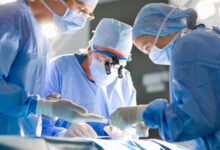 ابتكر المهندسون الحيويون أول كلية هجينة بين الإنسان والخنزير في العالم