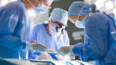 ابتكر المهندسون الحيويون أول كلية هجينة بين الإنسان والخنزير في العالم 2 ابتكر المهندسون الحيويون أول كلية هجينة بين الإنسان والخنزير في العالم