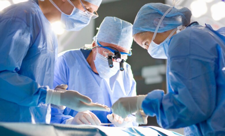 ابتكر المهندسون الحيويون أول كلية هجينة بين الإنسان والخنزير في العالم 1 ابتكر المهندسون الحيويون أول كلية هجينة بين الإنسان والخنزير في العالم