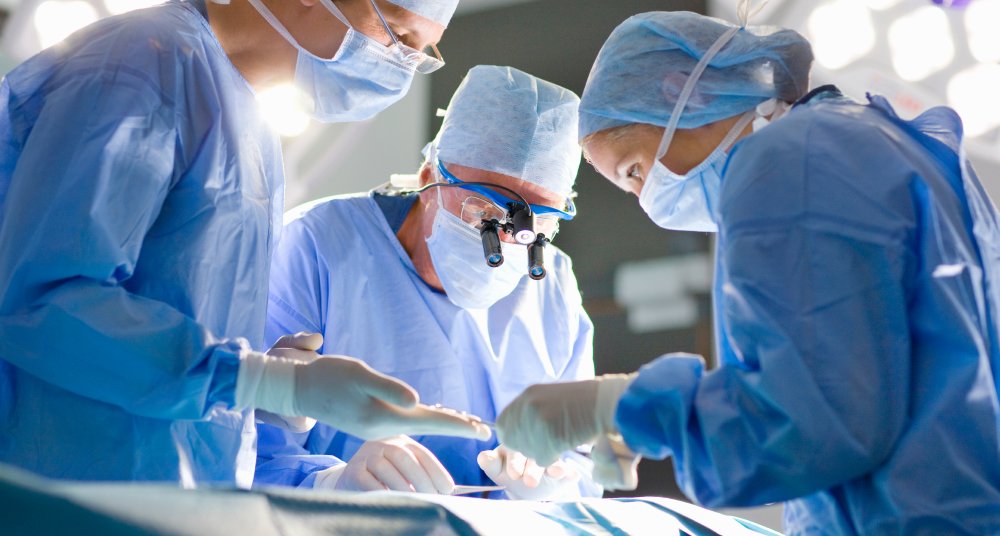 ابتكر المهندسون الحيويون أول كلية هجينة بين الإنسان والخنزير في العالم