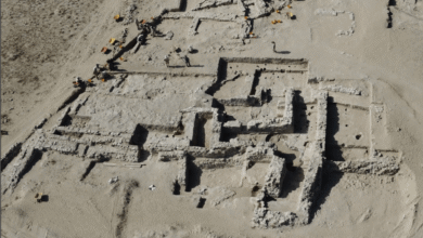 اكتشاف مركز تجاري عمره 2000 عام بين بلاد ما بين النهرين والهند في الإمارات العربية المتحدة