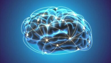 اكتشف العلماء طريقة لتعزيز الذاكرة في الأدمغة المتقدمة في السن 3 مفهوم زيادة الذكاء في تعزيز الدماغ