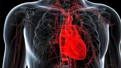 اكتشف العلماء نظامًا غذائيًا يمكن أن يمنع ويعكس نوعًا رئيسيًا من أمراض القلب