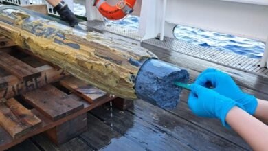 اكتشف علماء الأحياء الحياة في أحد أكثر الأماكن عدائية على وجه الأرض