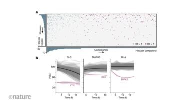 الأدوية التي تثبط إنزيمات الكيناز تعمل أيضًا على تسريع عملية التخلص منها