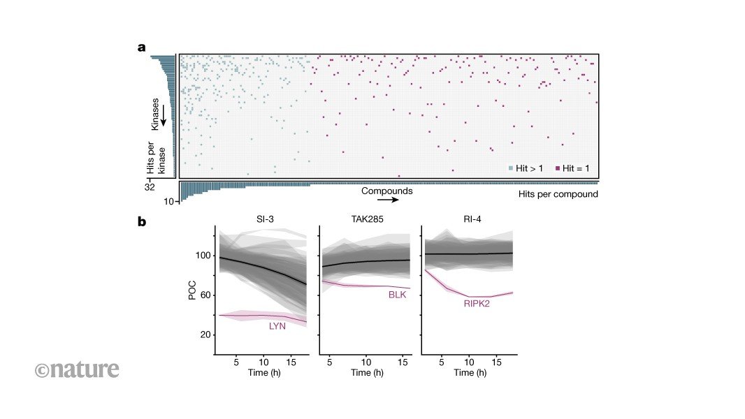 الأدوية التي تثبط إنزيمات الكيناز تعمل أيضًا على تسريع عملية التخلص منها