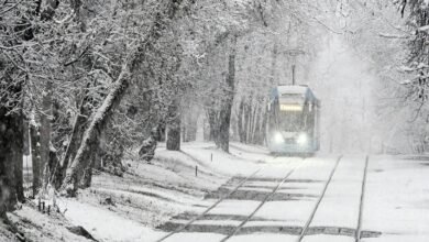 “الأكثر منذ 90 عاما ومصحوبة بالثلوج”.. تساقط كمية قياسية من الأمطار في يوم واحد بموسكو (صور + فيديو)