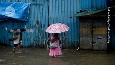 الإحصاءات الرسمية لا تعداد الوفيات الناجمة عن الأحوال الجوية القاسية إلى حد كبير