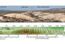 التنقيب في الآليات التي تكمن وراء إنتاج التربة