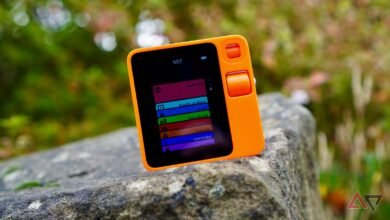 الجميع يكره الأرنب R1. لقد كانوا على حق لكنهم الآن على خطأ