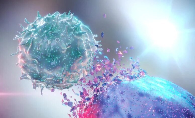 العلماء يفككون الكود الكامن وراء مركب نادر لمكافحة السرطان