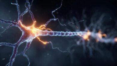 العلماء يقومون بتجميد نشاط الدماغ في منتصف الرسالة ويكشفون عن الإشارات المخفية