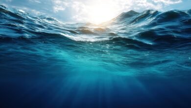 بحث جديد يحل لغز 100 عام من “الفقاعة الباردة” في المحيط الأطلسي