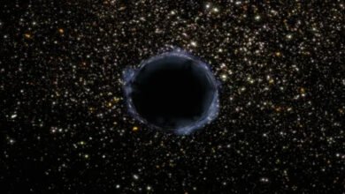 تبين أن المادة المظلمة تخضع للجاذبية دراسة