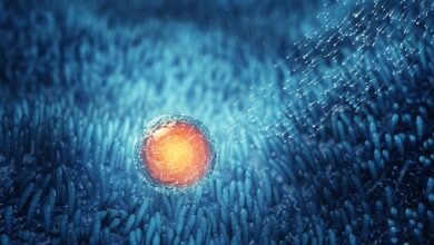 تشير دراسة جديدة إلى أن العلاج العشبي الصيني القديم يمكن أن يحسن الخصوبة