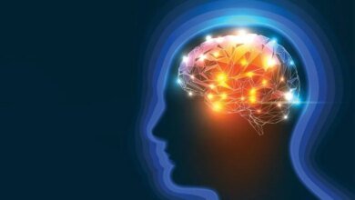 تظهر بروتينات الجمل واللاما الصغيرة نتائج واعدة لاضطرابات الدماغ