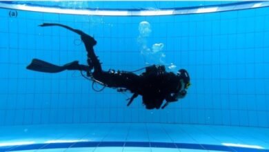 تم إنشاء هيكل خارجي يساعدك على البقاء تحت الماء لفترة أطول