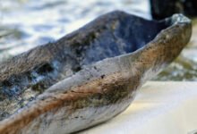 تم العثور على زوارق قديمة عمرها 5200 عام تحت بحيرة ويسكونسن