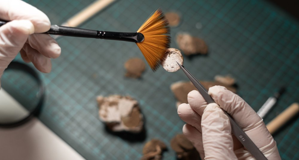 تم العثور على مدينة من العصر البرونزي بها صناعة معدنية في السهوب الكازاخستانية تم العثور على مدينة من العصر البرونزي بها صناعة معدنية في السهوب الكازاخستانية