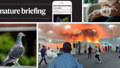 حيث يحصل الحمام على إحساسهم بالاتجاه