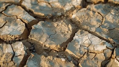 دراسة جديدة تكشف المصدر الخفي لهطول الأمطار الذي يمكن أن يؤدي إلى إنتاج المحاصيل العالمية أو تدميرها