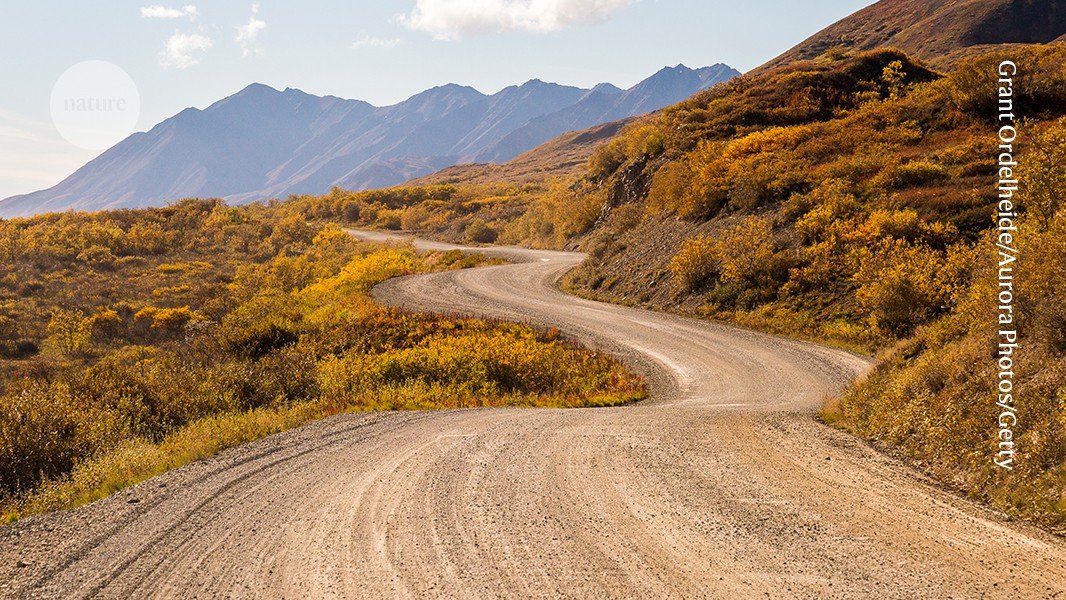 دروس من طريق طويل إلى ورقة المؤلف الأول دروس من طريق طويل إلى ورقة المؤلف الأول