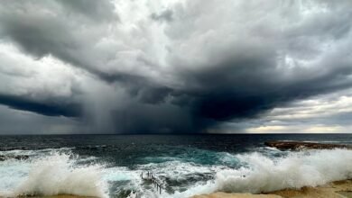 “ستختفي نصف الشواطئ تقريبًا بحلول نهاية القرن” “ستختفي نصف الشواطئ تقريبًا بحلول نهاية القرن”