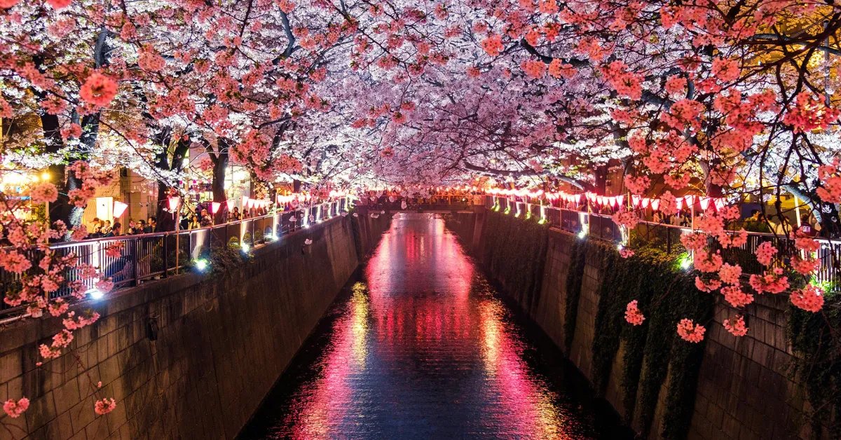 ستصبح اليابان الدولة التاسعة والعشرين التي تحصل على متاجر تطبيقات iPhone التابعة لجهات خارجية