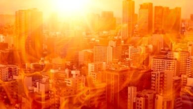 عام 2024 قد يكون العام الأكثر سخونة منذ 125 ألف عام: دراسة