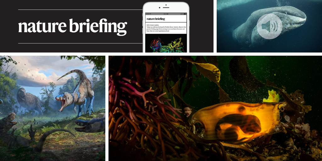 عجائب الحياة البرية والثقيلة الفائقة