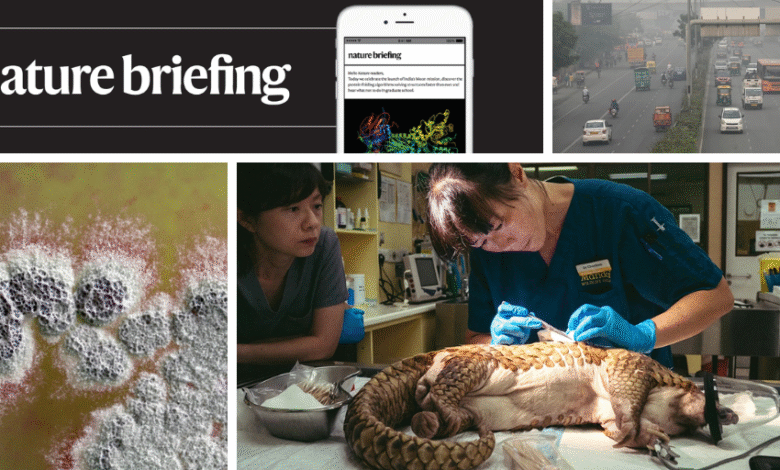 علاج تحرير الجينات المصمم خصيصًا للأطفال للدخول في التجارب السريرية