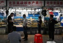 في أول ضربة لليابان.. الصين تحظر المأكولات البحرية – قناة المنار