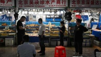 في أول ضربة لليابان.. الصين تحظر المأكولات البحرية – قناة المنار